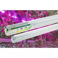 Светодиодный светильник ASD СПБ-Т8-ФИТО 8Вт 230В 600мм для роста растений IP40
